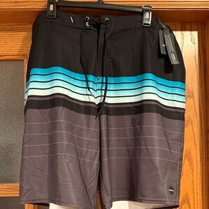 O'Neill Black and Teal Striped Board Shorts